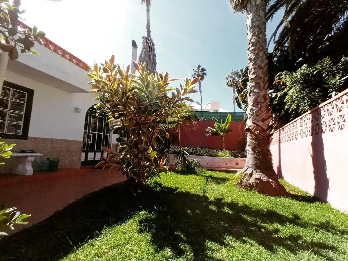 Finca Los Pajaritos Villa Icod De Los Vinos 0*,  Spanje